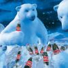 Coca Cola Polar Puzzle