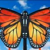 soa monarch small butterfly red