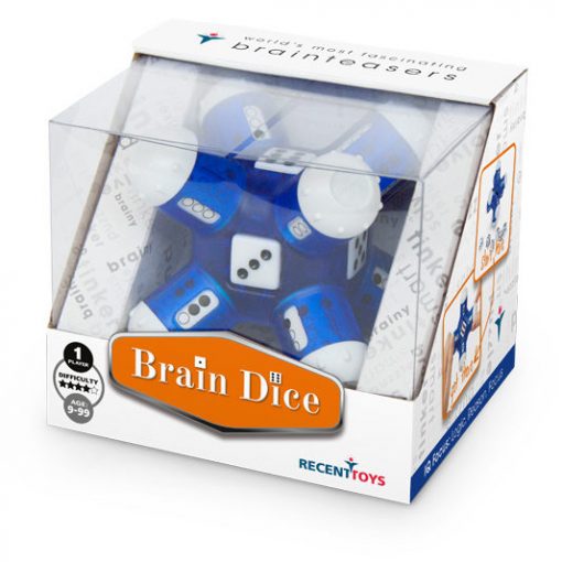 Brain Dice Puzzle