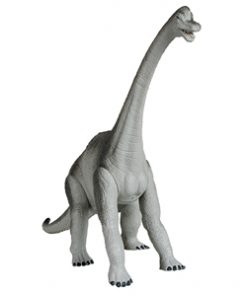 Brachiosarus 40cm