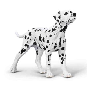 Collect a Dalmatian