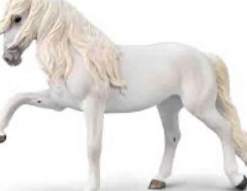 Collecta Lipizzaner Mare