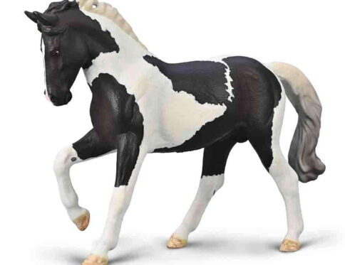 Collecta Warmblood Stallion