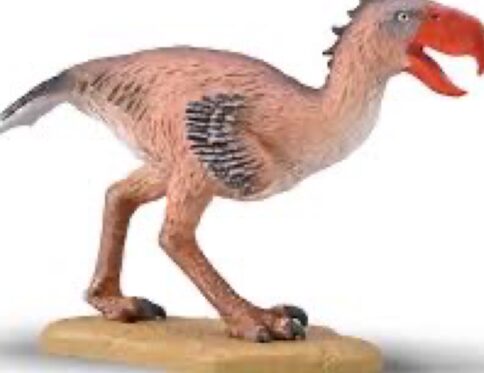 Collecta Phorusrhacos