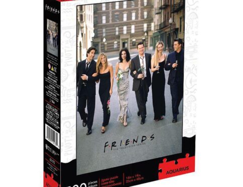 Aquarius Friends Wedding Puzzle (500 Piece Jigsaw Puzzle) – Officially Licensed Friends Merchandise & Collectibles – Glare Free – Precision Fit